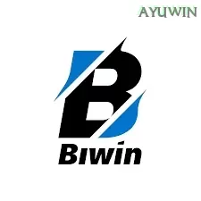 Ikon biwin